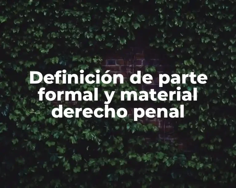 Definición de parte formal y material derecho penal