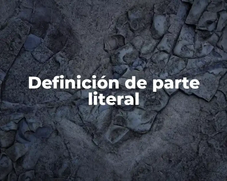 Definición de parte literal