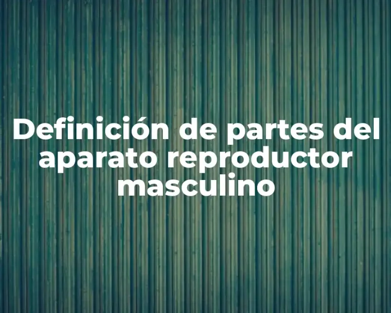 Definición de partes del aparato reproductor masculino