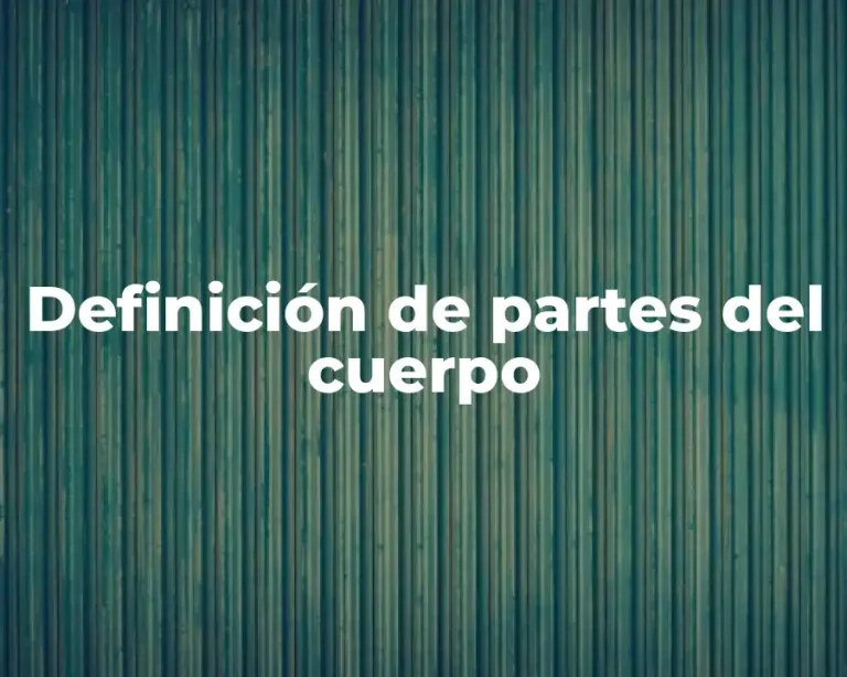 Definición de partes del cuerpo