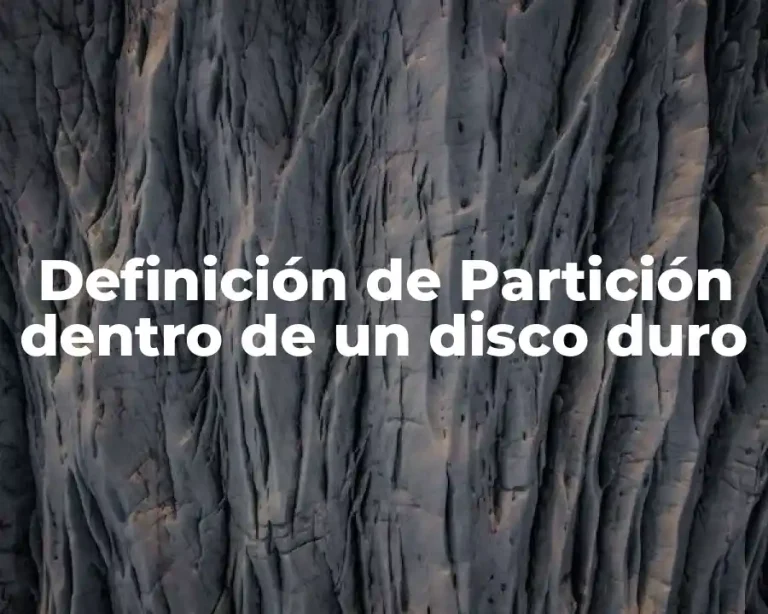 Definición de Partición dentro de un disco duro