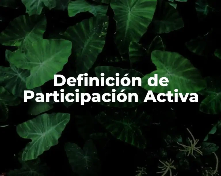 Definición de Participación Activa