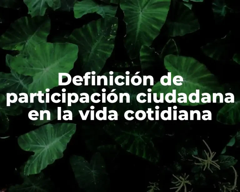 Definición de participación ciudadana en la vida cotidiana