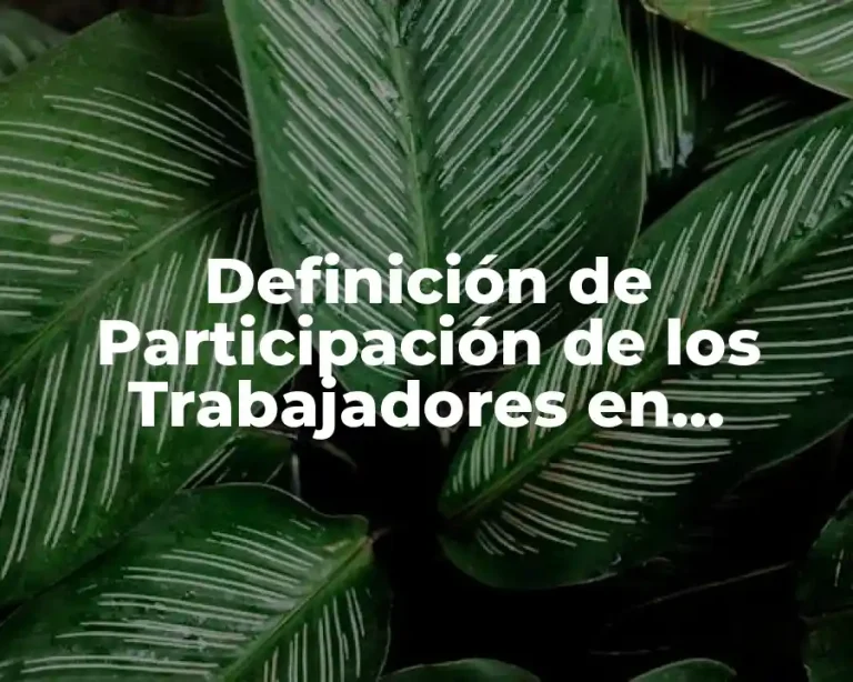 Definición de Participación de los Trabajadores en Contabilidad