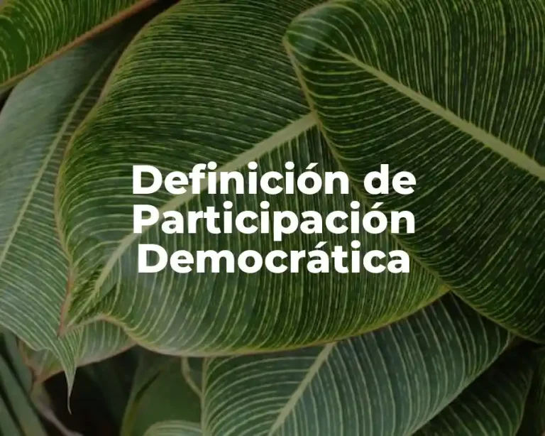 Definición de Participación Democrática