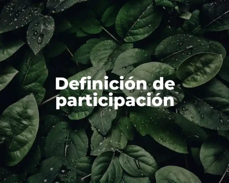 Definición de participación