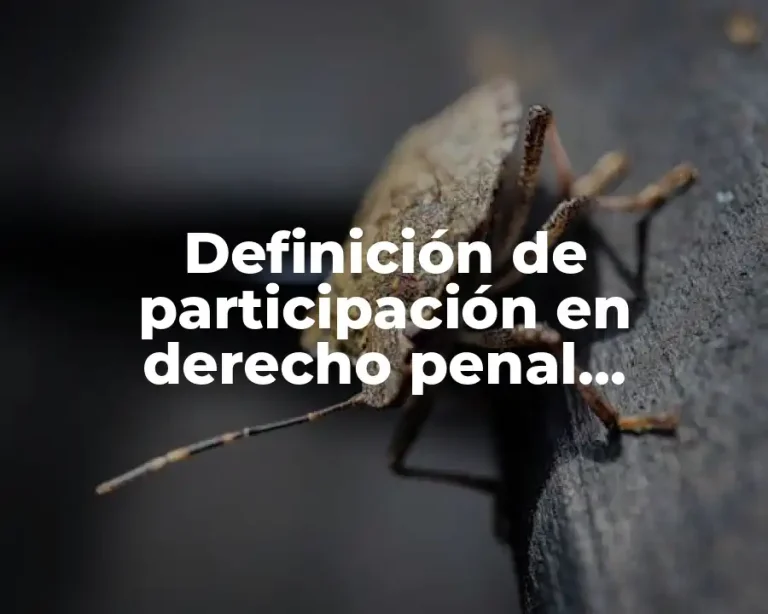 Definición de participación en derecho penal mexicano