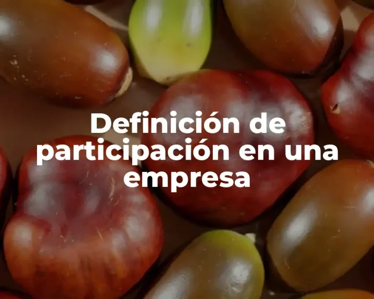Definición de participación en una empresa