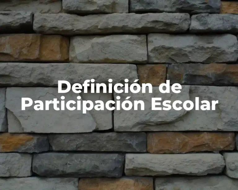 Definición de Participación Escolar