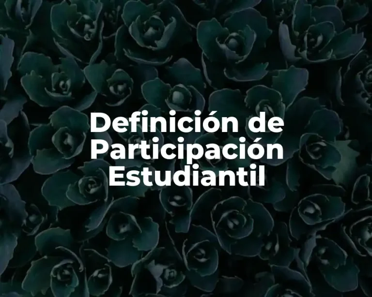 Definición de Participación Estudiantil
