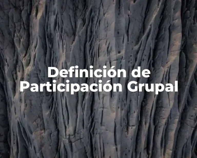 Definición de Participación Grupal