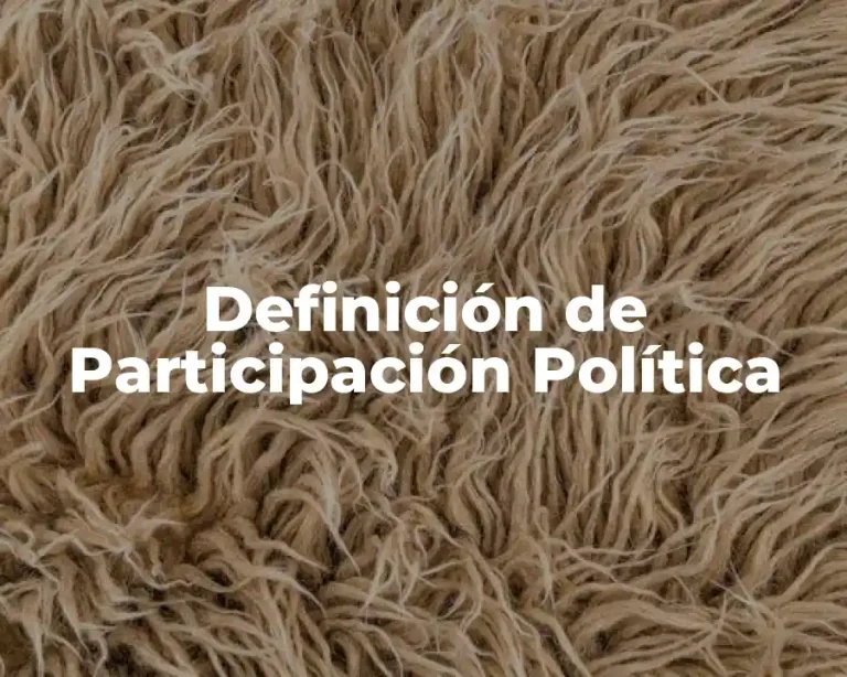 Definición de Participación Política