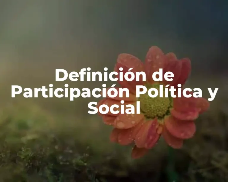 Definición de Participación Política y Social