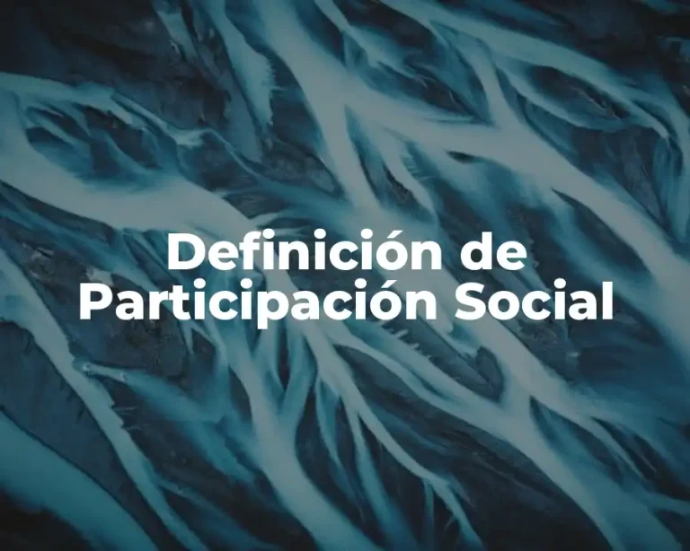 Definición de Participación Social
