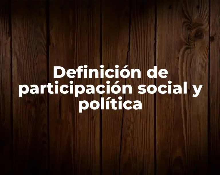 Definición de participación social y política