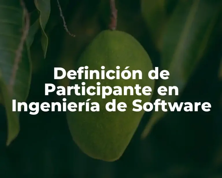 Definición de Participante en Ingeniería de Software