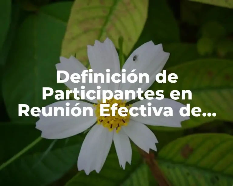 Definición de Participantes en Reunión Efectiva de Trabajo