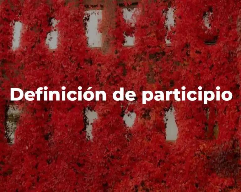 Definición de participio