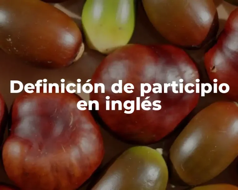 Definición de participio en inglés