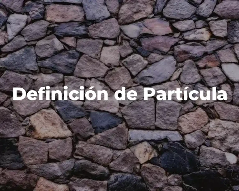 Definición de Partícula