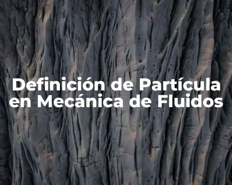 Definición de Partícula en Mecánica de Fluidos