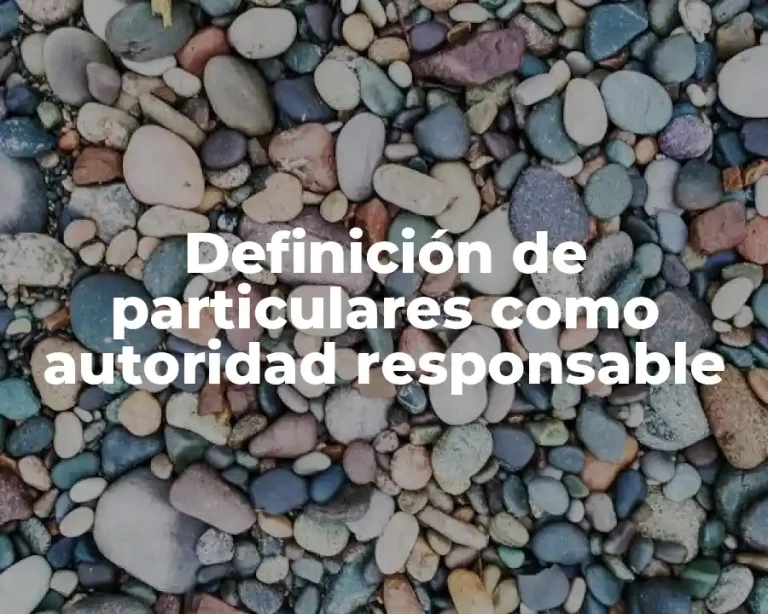 Definición de particulares como autoridad responsable