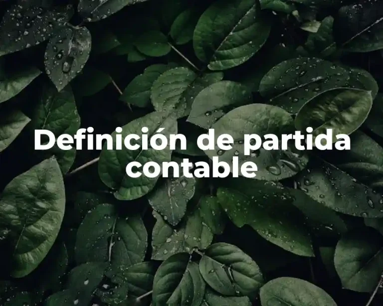 Definición de partida contable