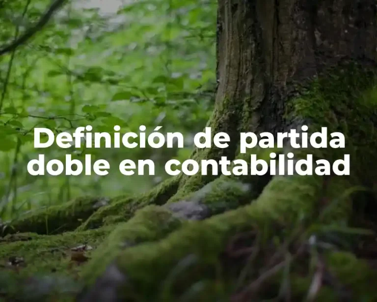 Definición de partida doble en contabilidad