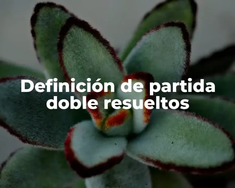 Definición de partida doble resueltos