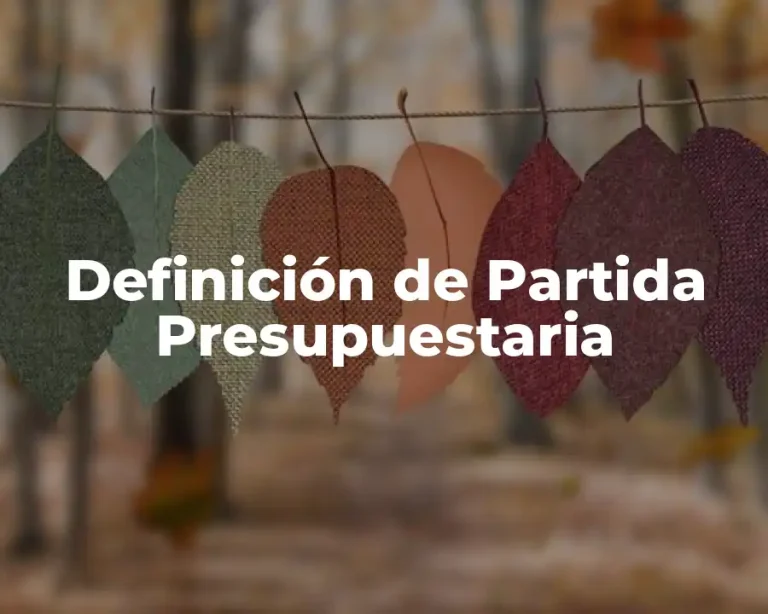 Definición de Partida Presupuestaria