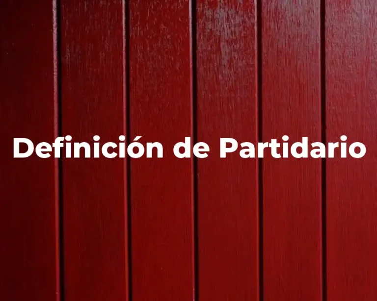 Definición de Partidario