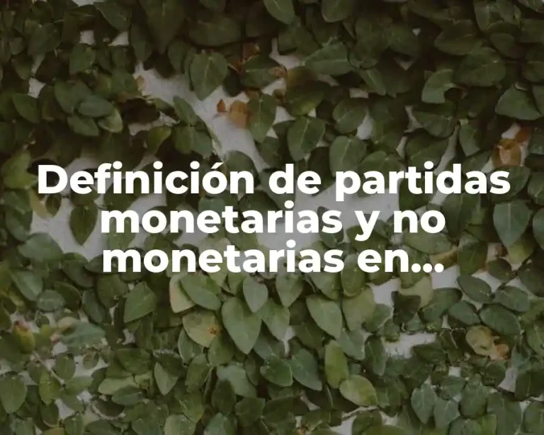 Definición de partidas monetarias y no monetarias en contabilidad
