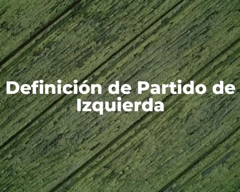 Definición de Partido de Izquierda