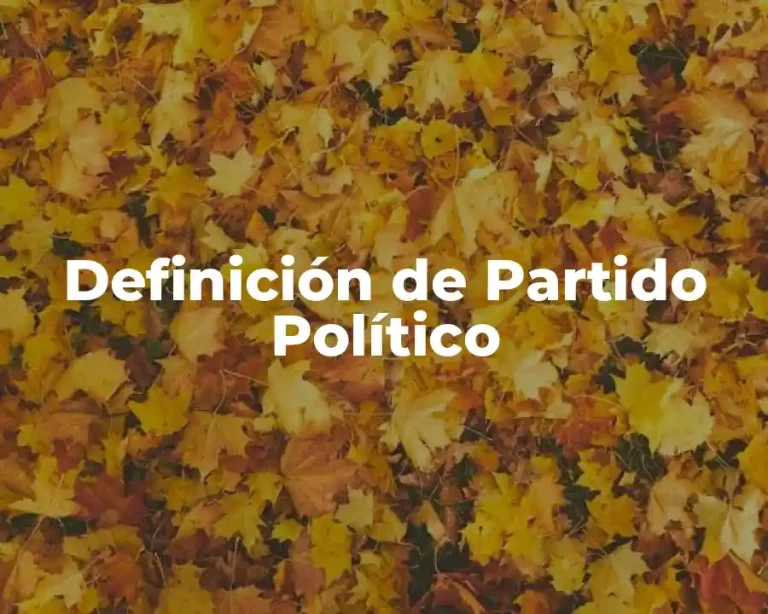 Definición de Partido Político