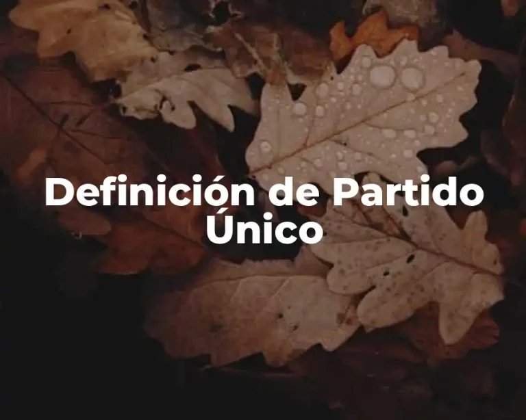 Definición de Partido Único