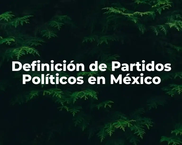 Definición de Partidos Políticos en México