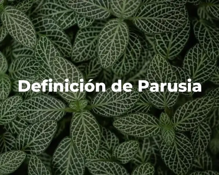 Definición de Parusia