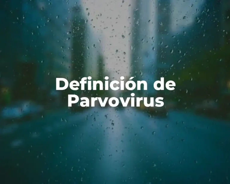 Definición de Parvovirus