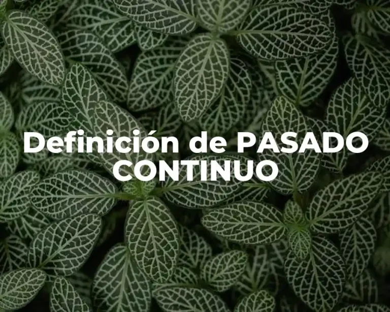 Definición de PASADO CONTINUO