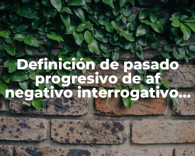 Definición de pasado progresivo de af negativo interrogativo en inglés