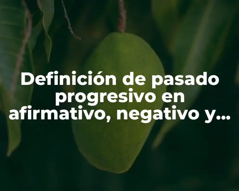 Definición de pasado progresivo en afirmativo, negativo y interrogativo