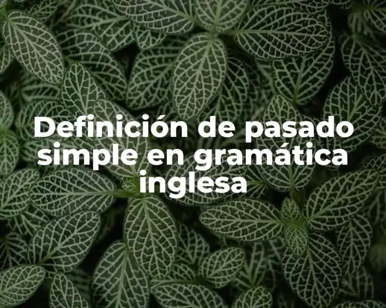 Definición de pasado simple en gramática inglesa