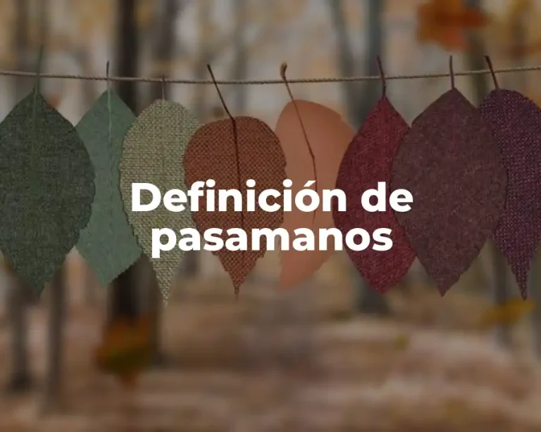 Definición de pasamanos