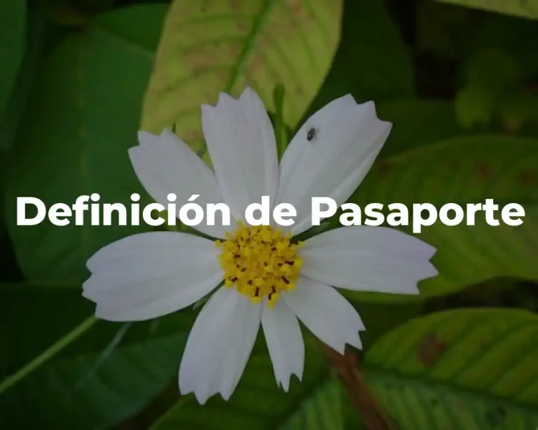 Definición de Pasaporte