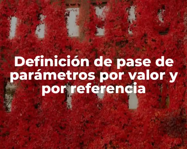 Definición de pase de parámetros por valor y por referencia