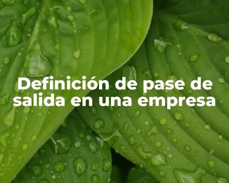 Definición de pase de salida en una empresa