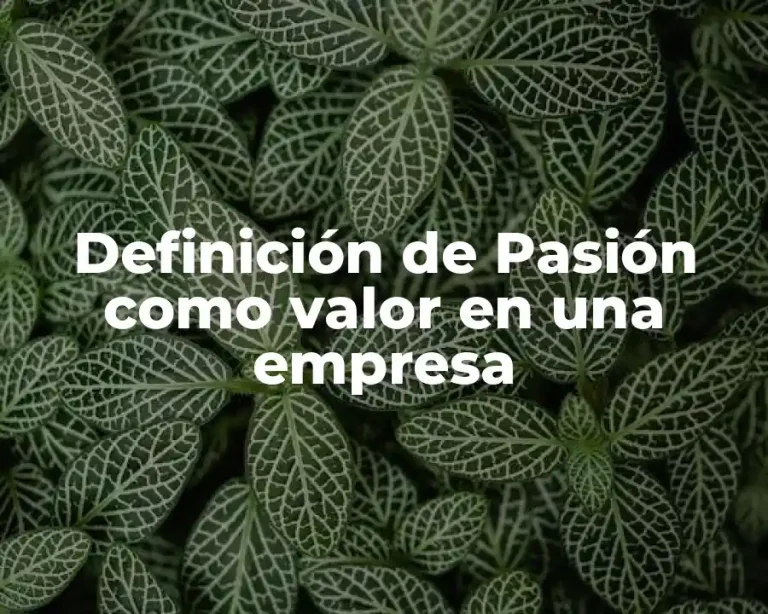 Definición de Pasión como valor en una empresa