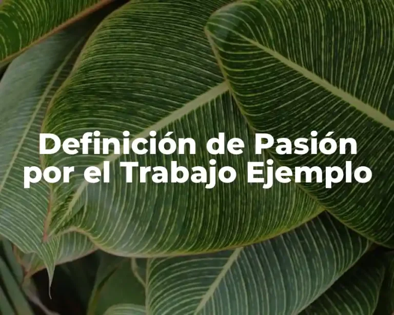 Definición de Pasión por el Trabajo Ejemplo