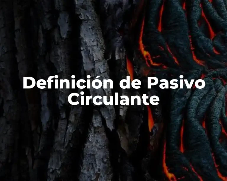 Definición de Pasivo Circulante