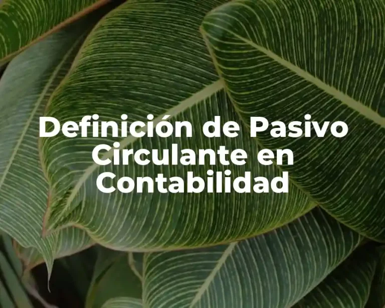 Definición de Pasivo Circulante en Contabilidad